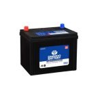 Maintenance Free Batteries