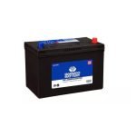 Maintenance Free Batteries