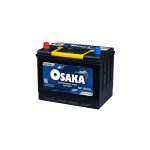 Maintenance Free Batteries