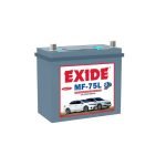 Maintenance Free Batteries